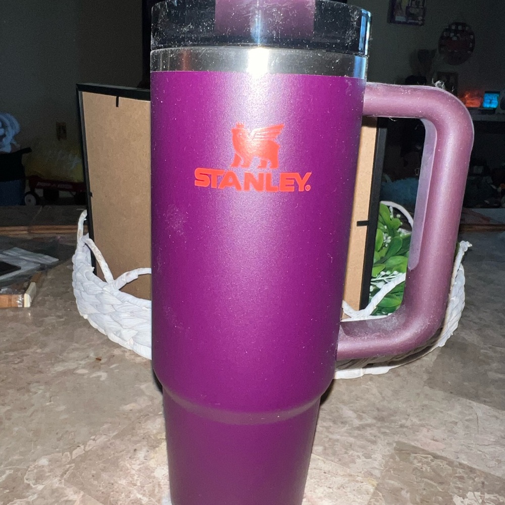 New- 30oz decorated Stanley